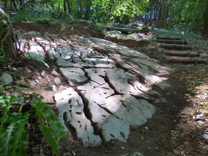 Limestone Pavement 1 700